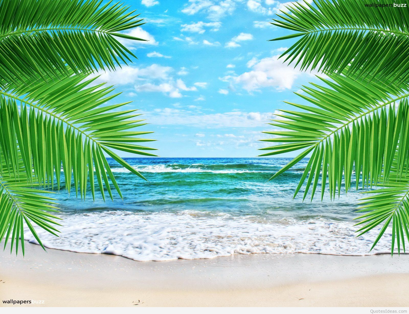 Beach Summer Wallpapers