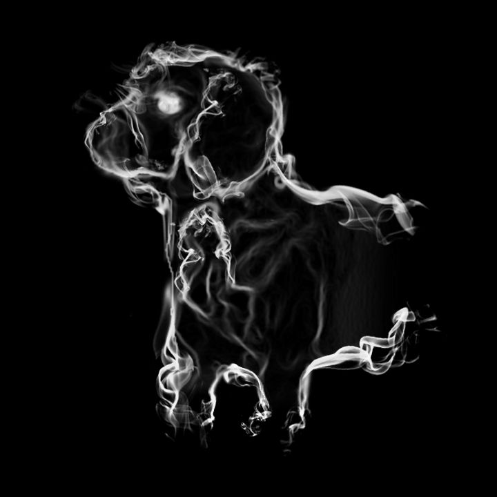 Beagle Patronus Wallpapers