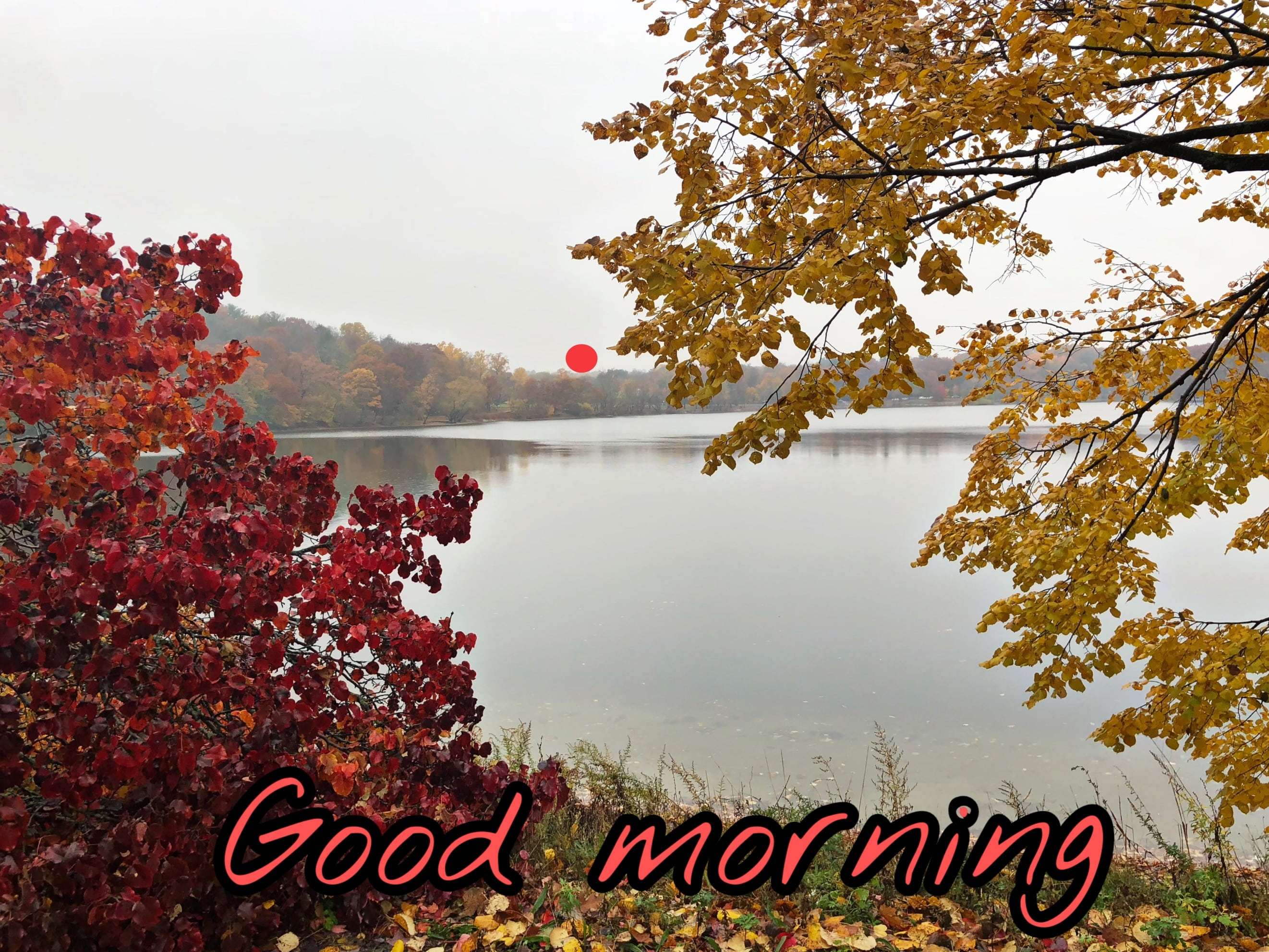 Beautiful Autumn Good Morning Images Wallpapers