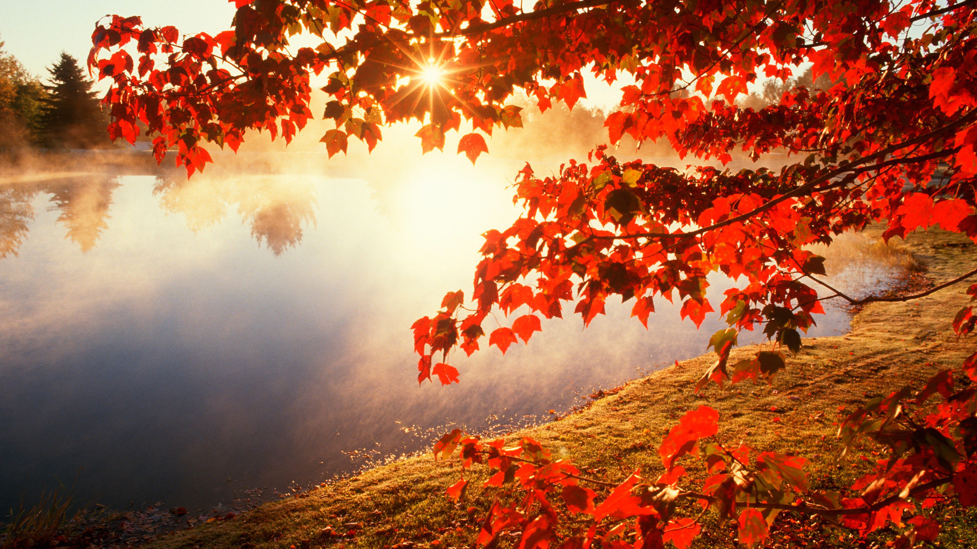 Beautiful Autumn Good Morning Images Wallpapers