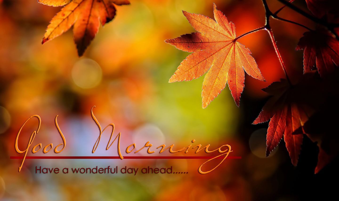 Beautiful Autumn Good Morning Images Wallpapers