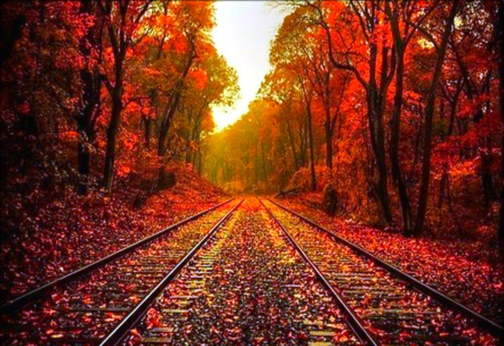 Beautiful Autumn Wallpapers