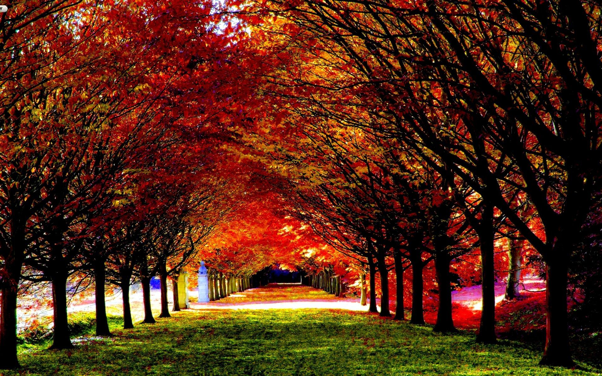 Beautiful Autumn Wallpapers