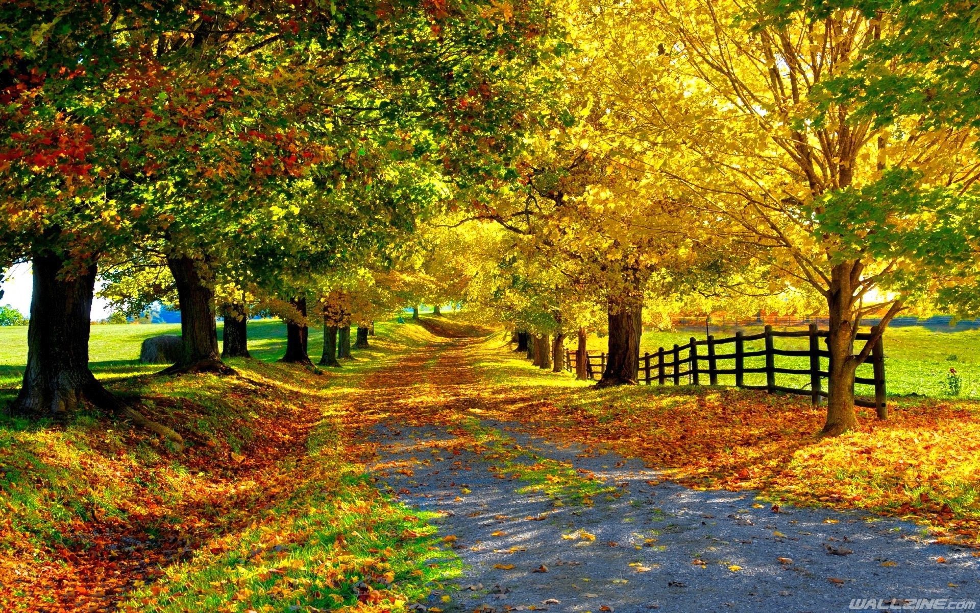 Beautiful Autumn Wallpapers