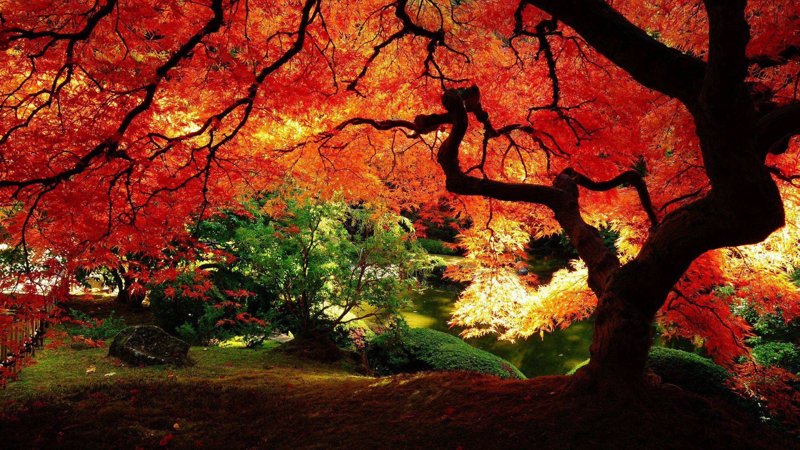 Beautiful Autumn Wallpapers