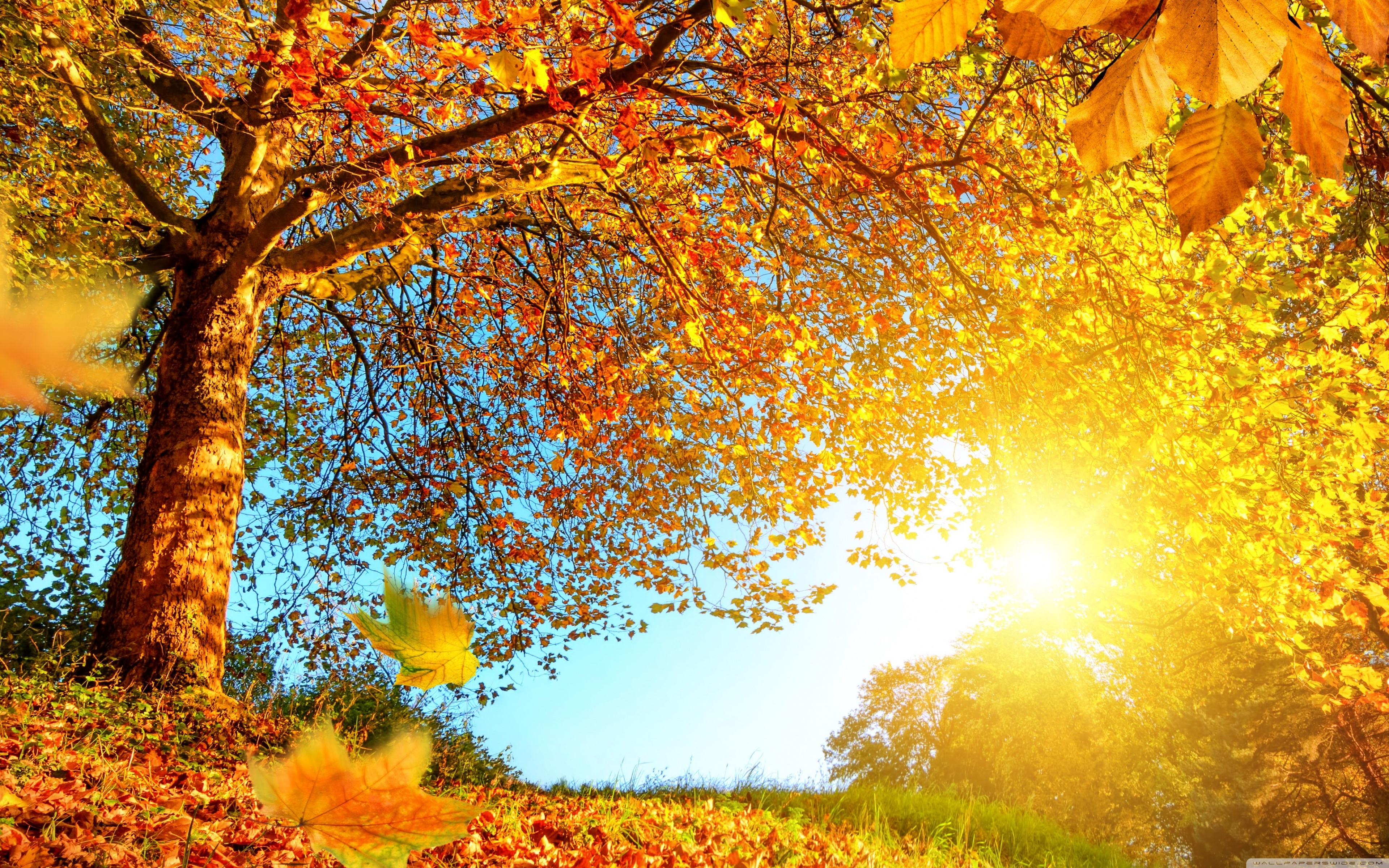 Beautiful Autumn Wallpapers