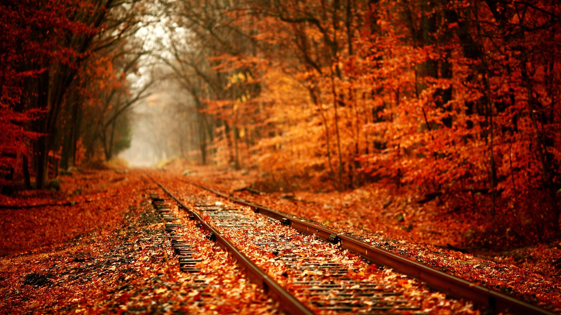 Beautiful Autumn Wallpapers