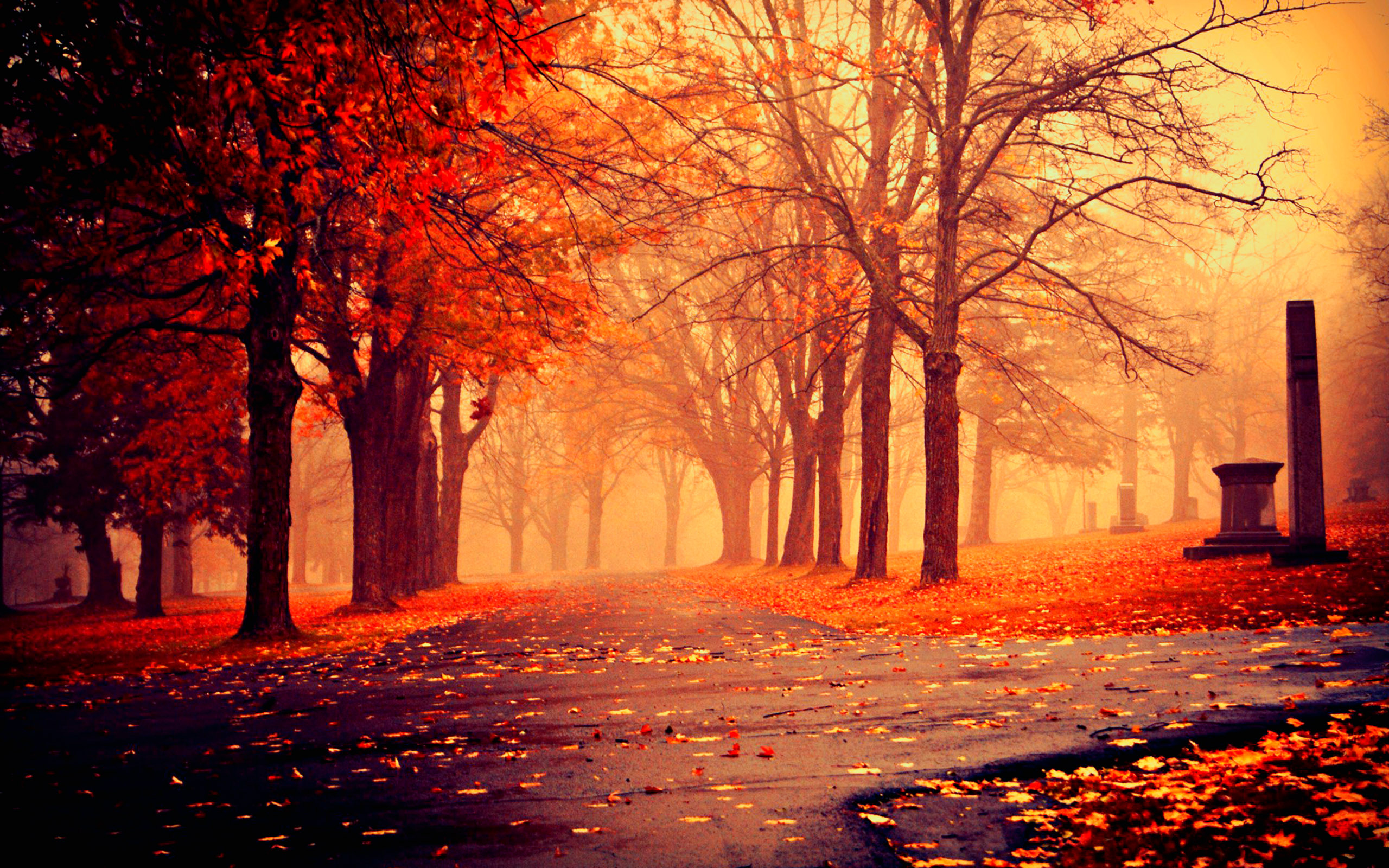 Beautiful Autumn Wallpapers