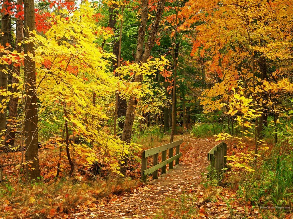 Beautiful Autumn Wallpapers