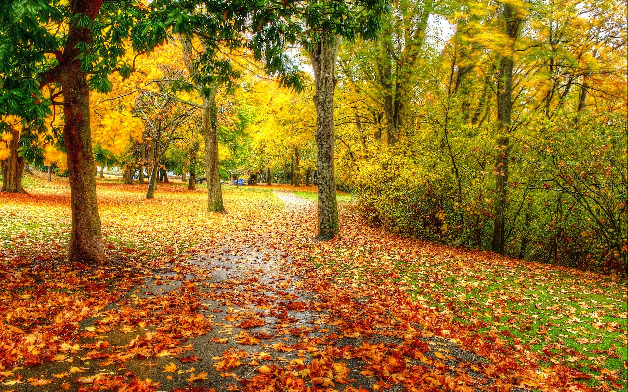 Beautiful Autumn Wallpapers