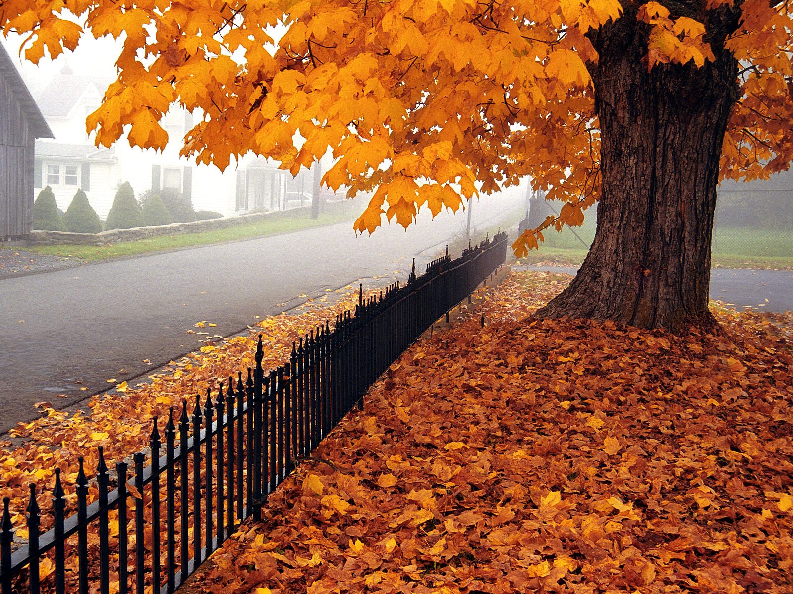 Beautiful Autumn Wallpapers