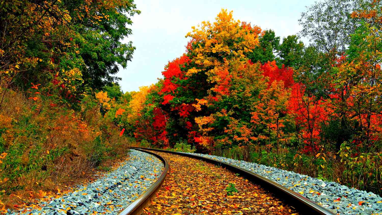 Beautiful Autumn Wallpapers