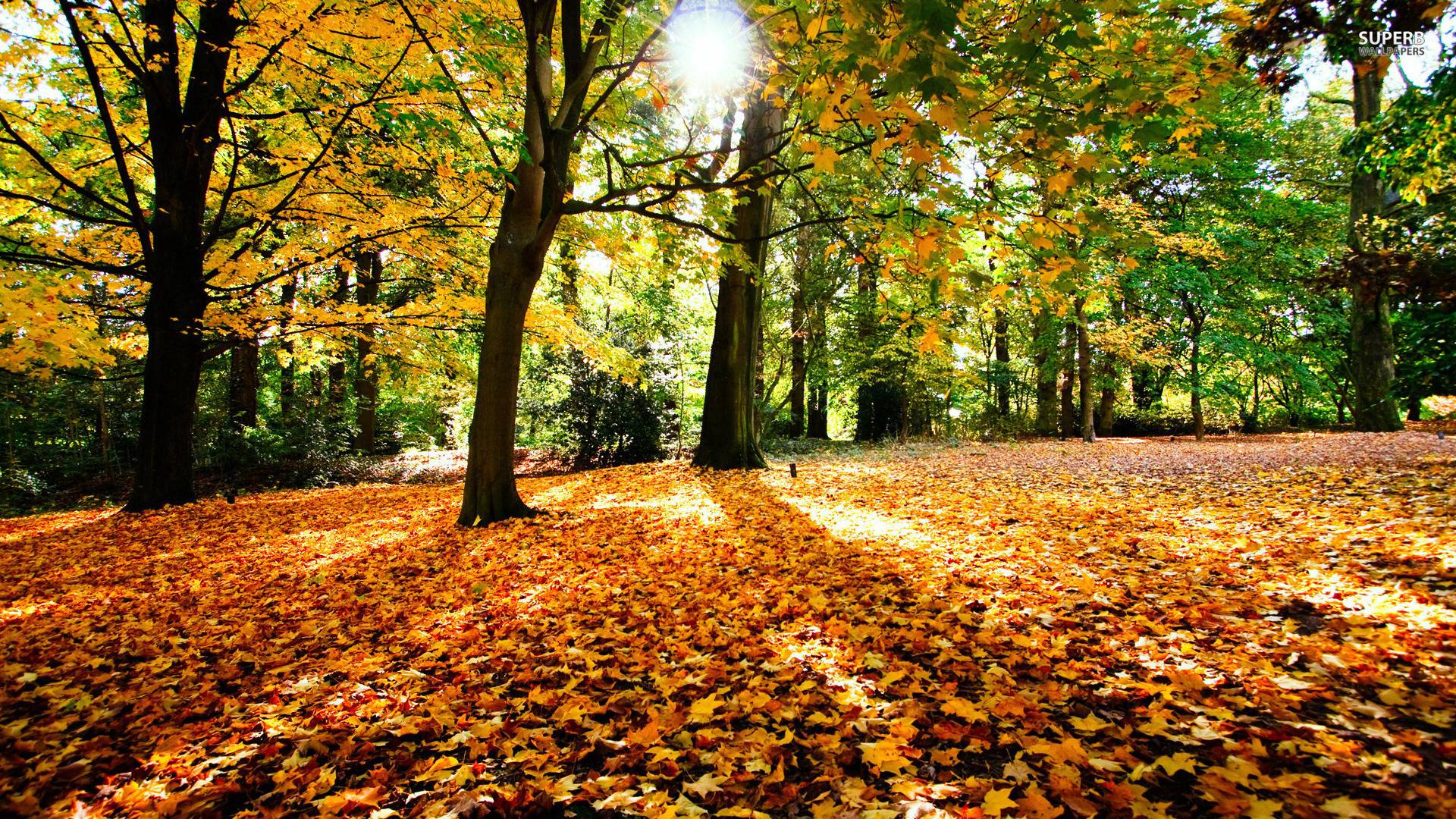 Beautiful Autumn Wallpapers