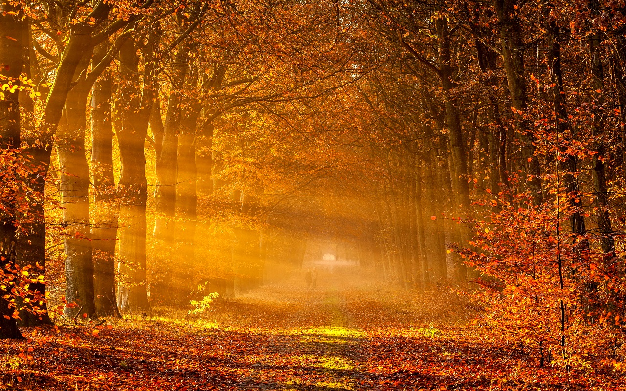 Beautiful Autumn Wallpapers