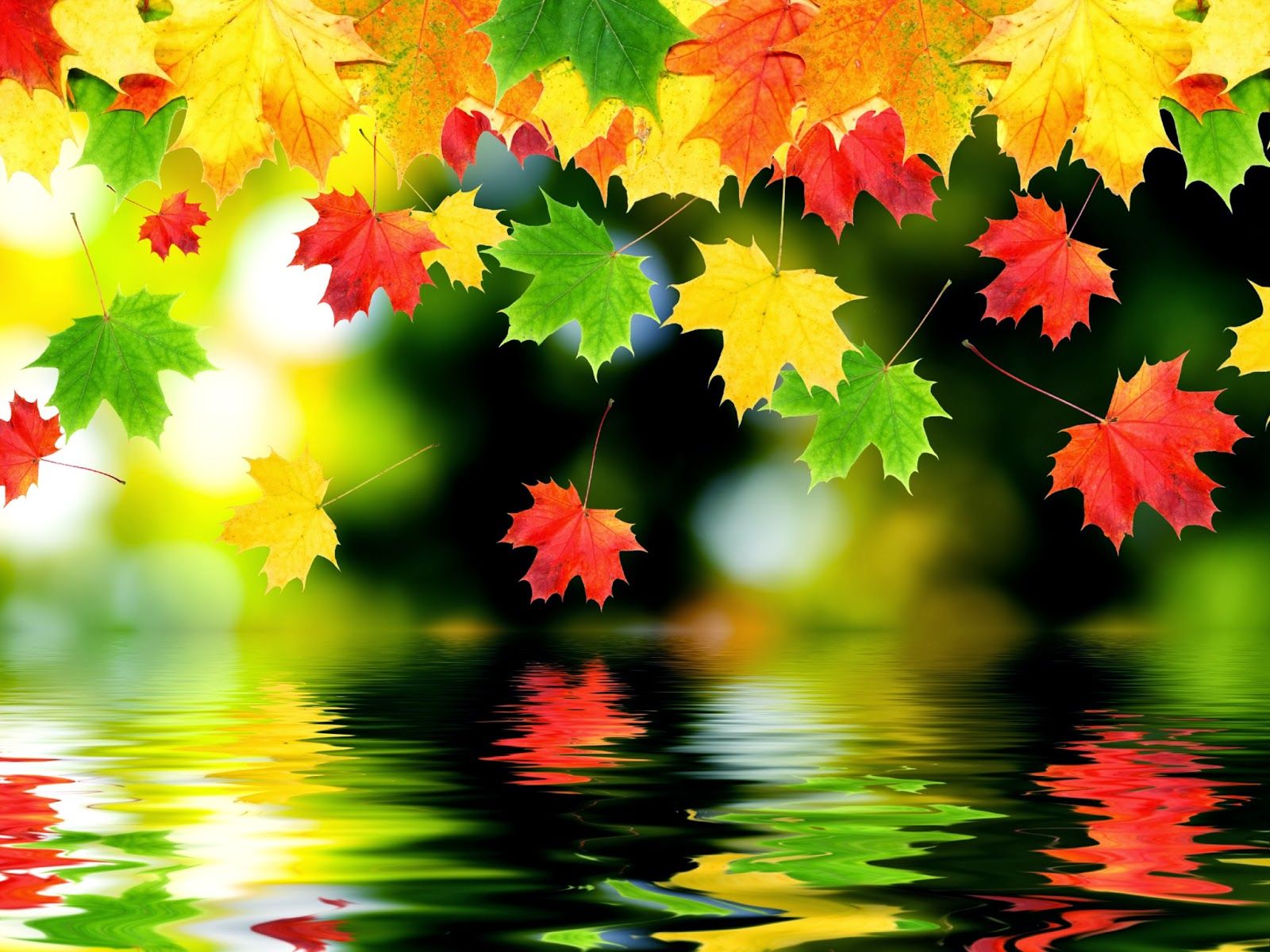 Beautiful Autumn Wallpapers