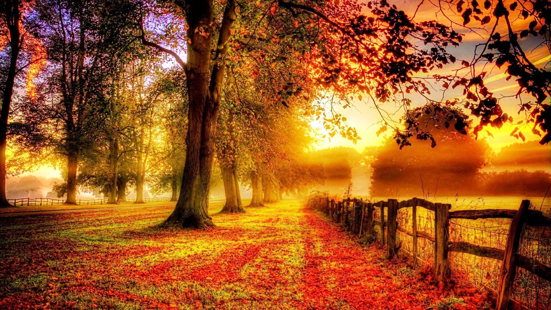 Beautiful Autumn Wallpapers