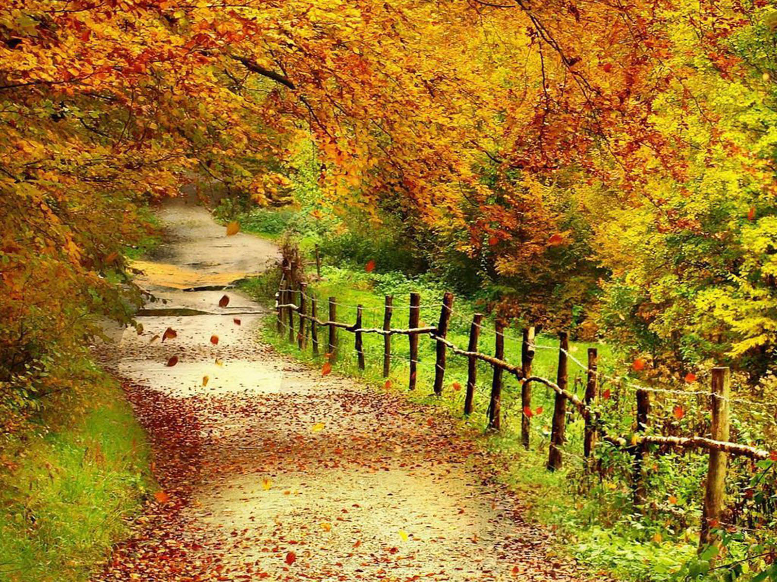 Beautiful Autumn Wallpapers