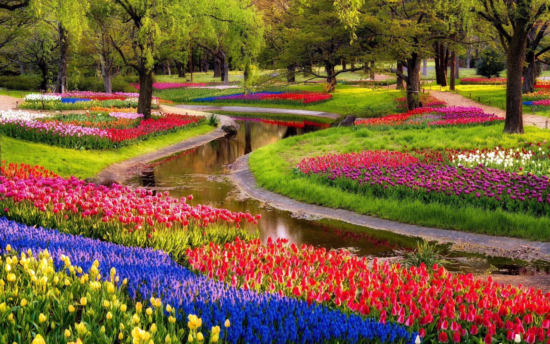 Beautiful Garden Wallpapers