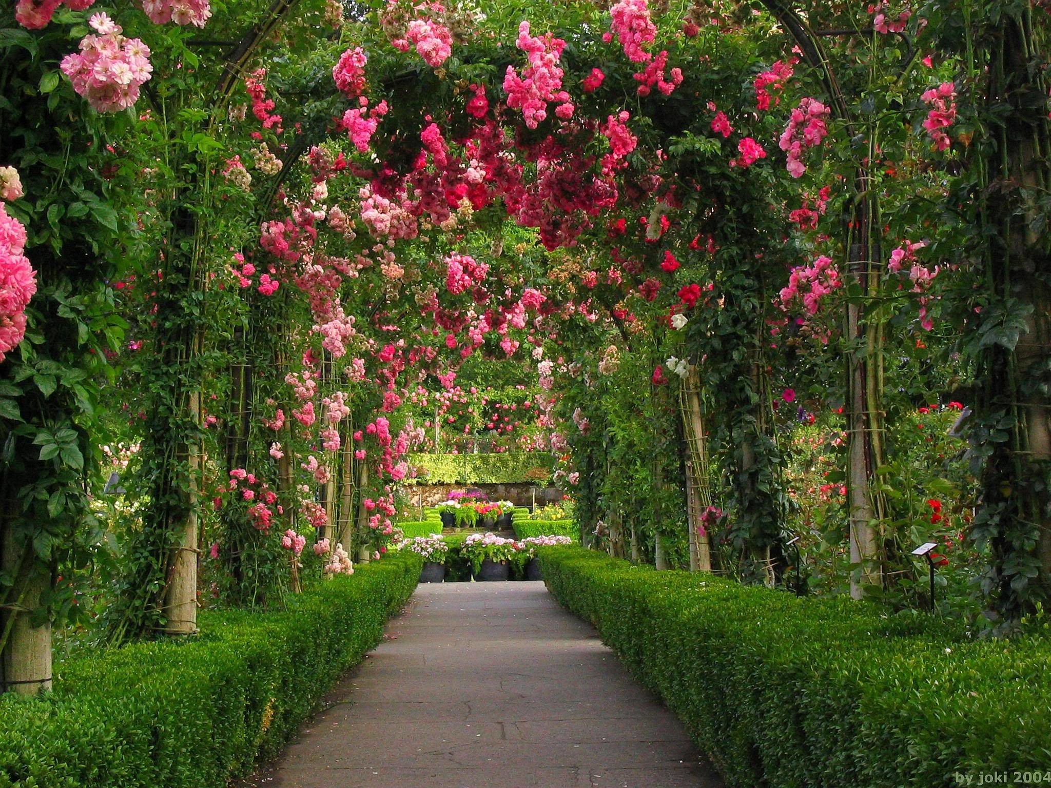 Beautiful Garden Wallpapers