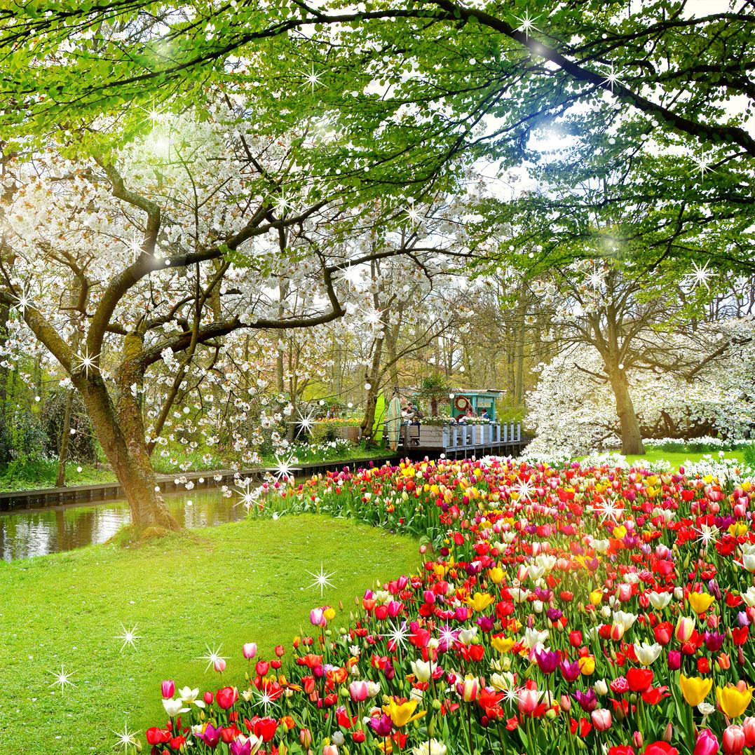 Beautiful Garden Wallpapers