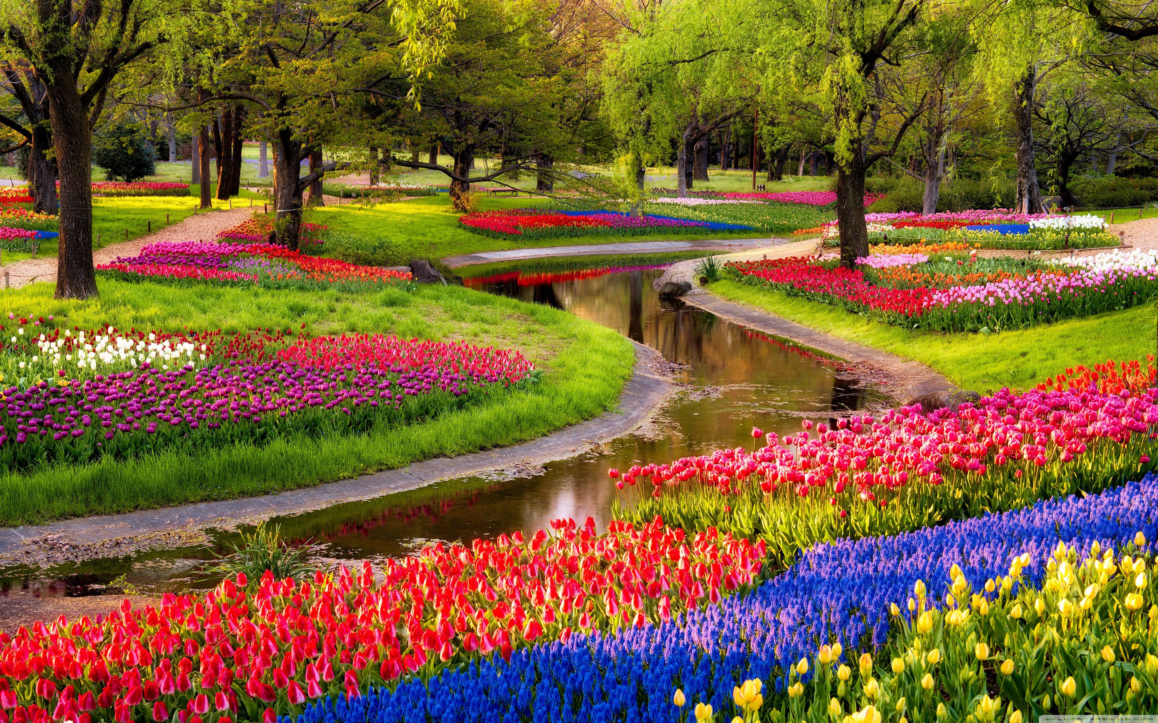 Beautiful Garden Wallpapers