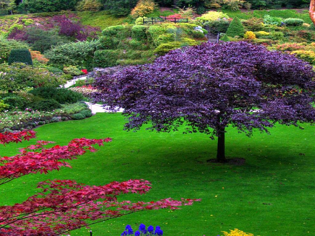 Beautiful Garden Wallpapers