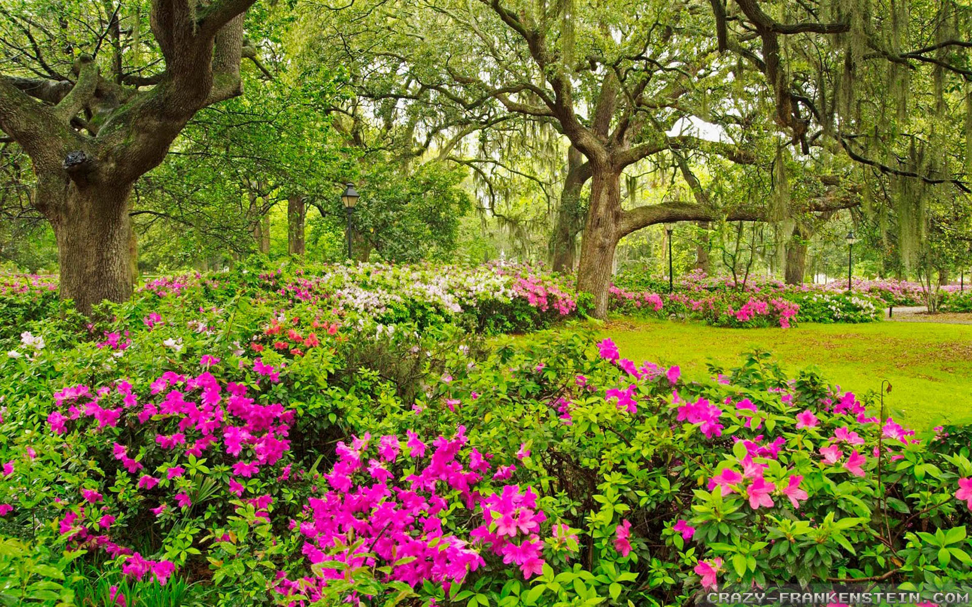 Beautiful Garden Wallpapers