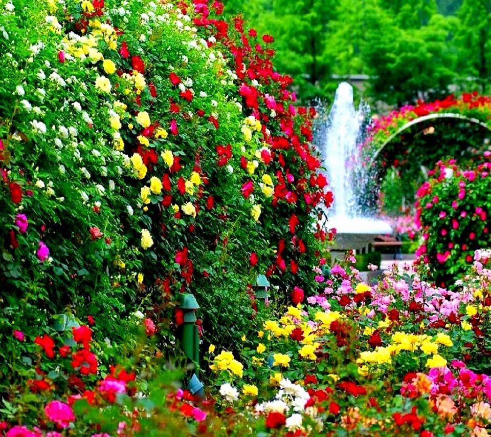 Beautiful Garden Wallpapers