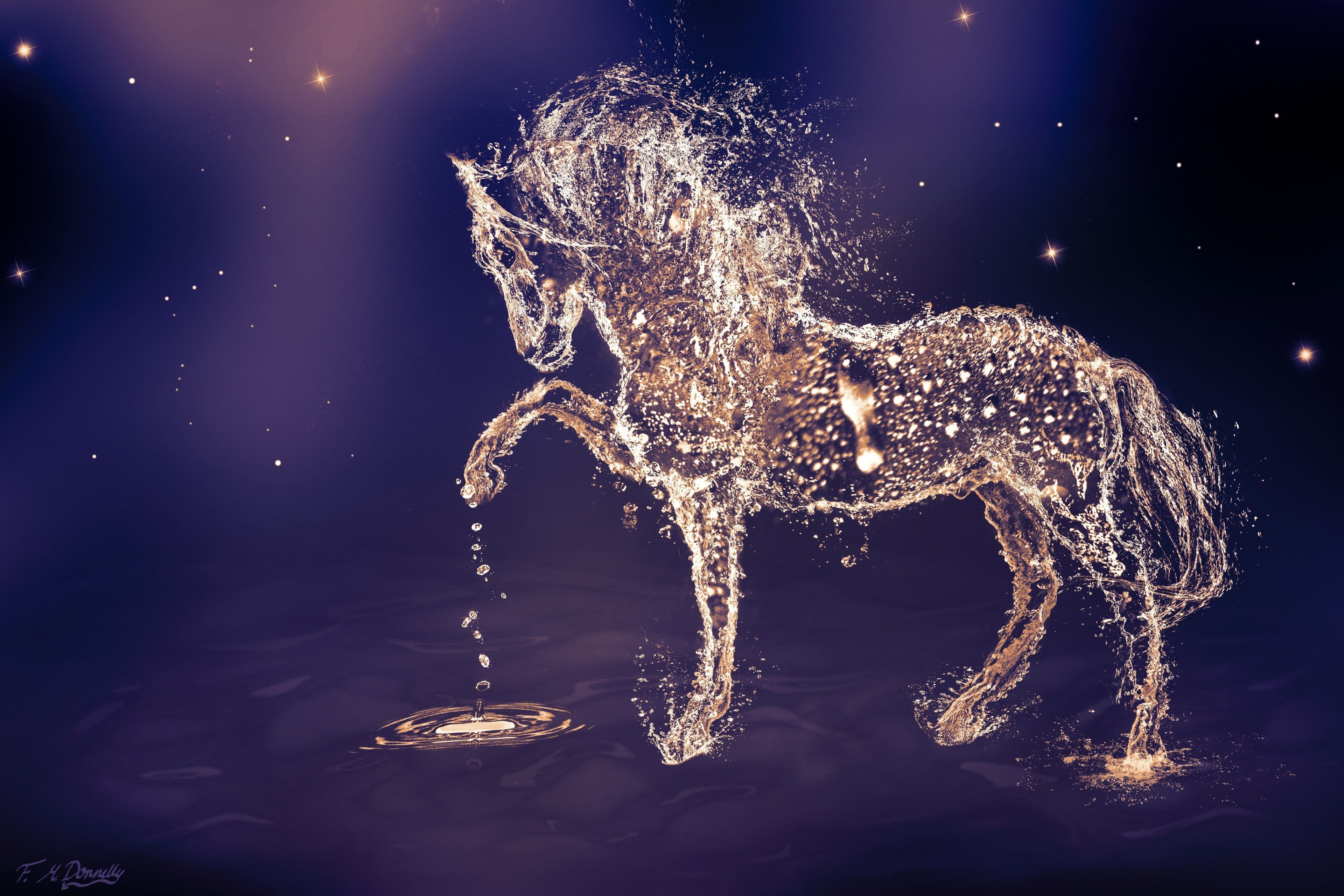 Beautiful Mystical Horse Wallpapers