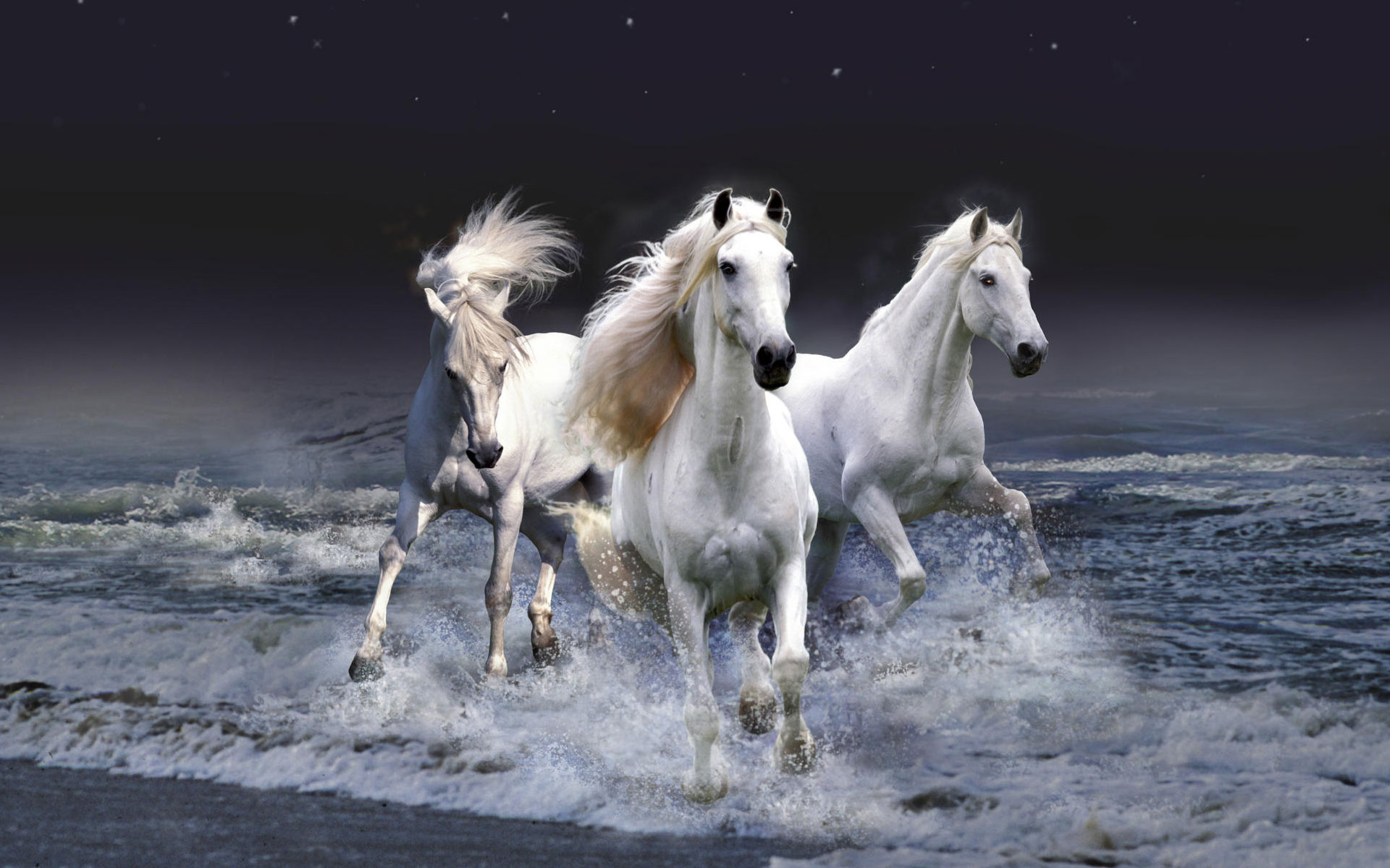 Beautiful Mystical Horse Wallpapers