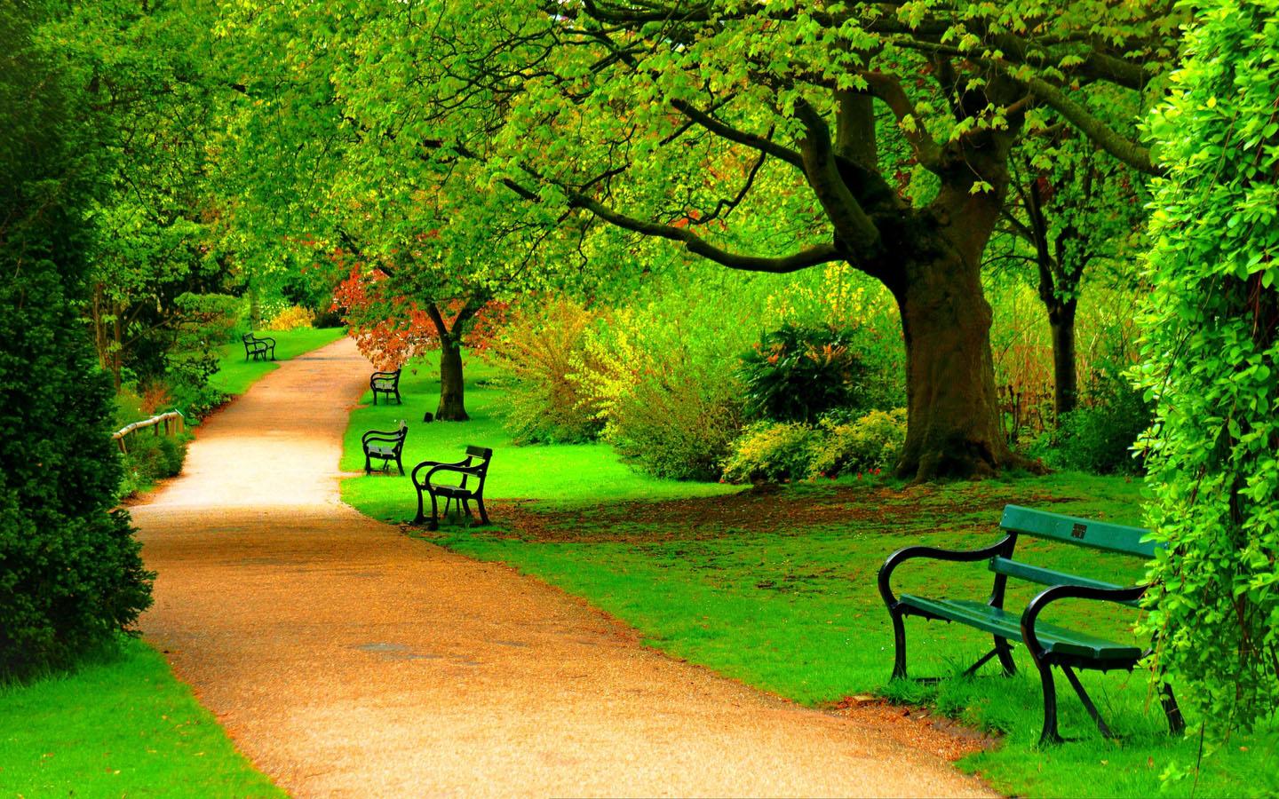 Beautiful Park Wallpapers