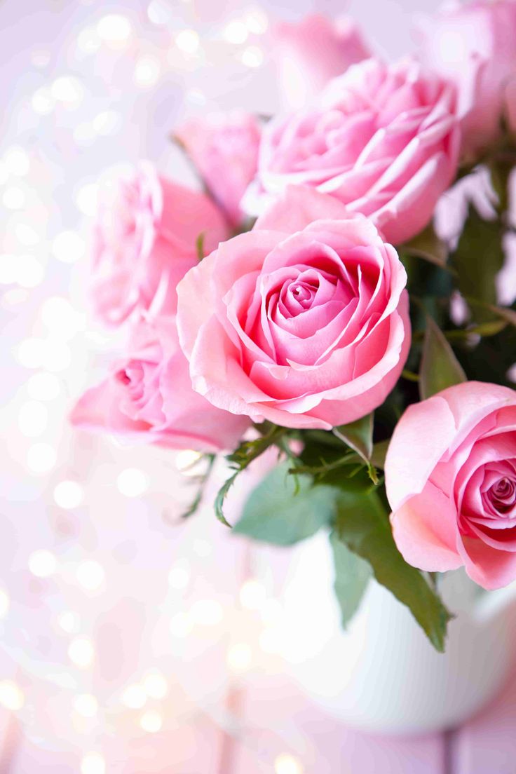 Beautiful Pink Flowers Wallpapers