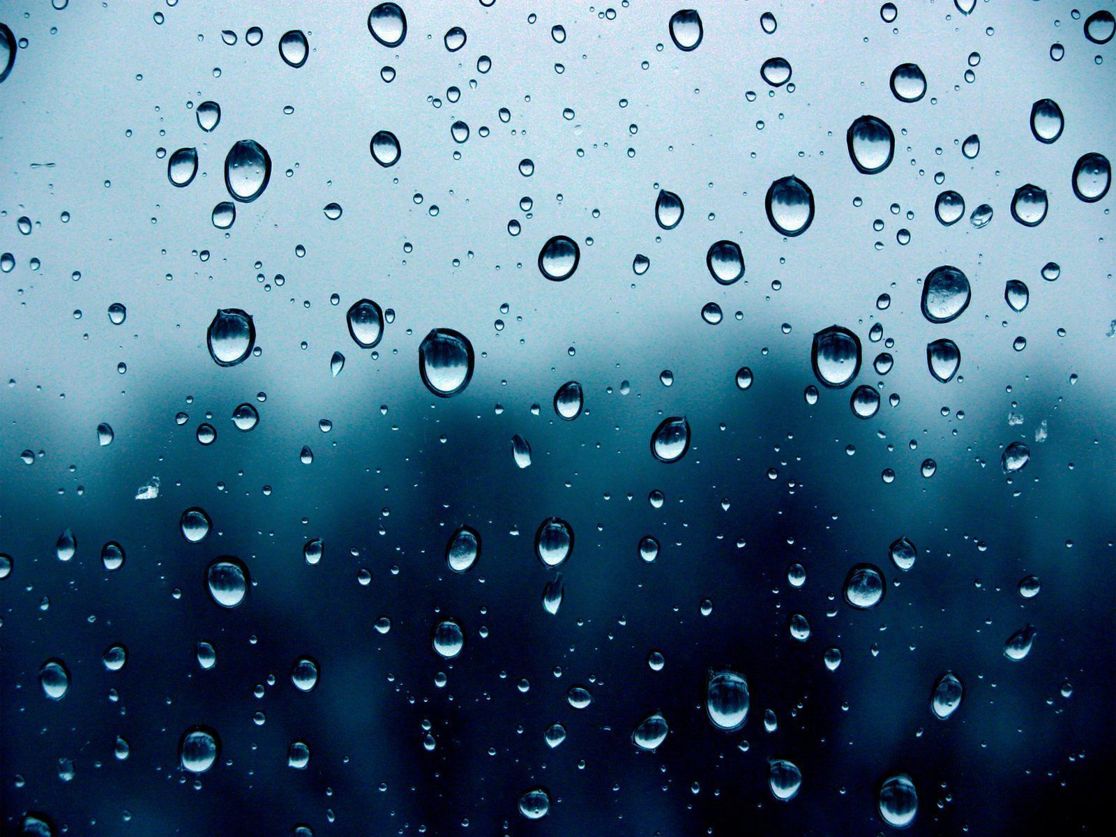 Beautiful Rain Drops With Quotes Wallpapers