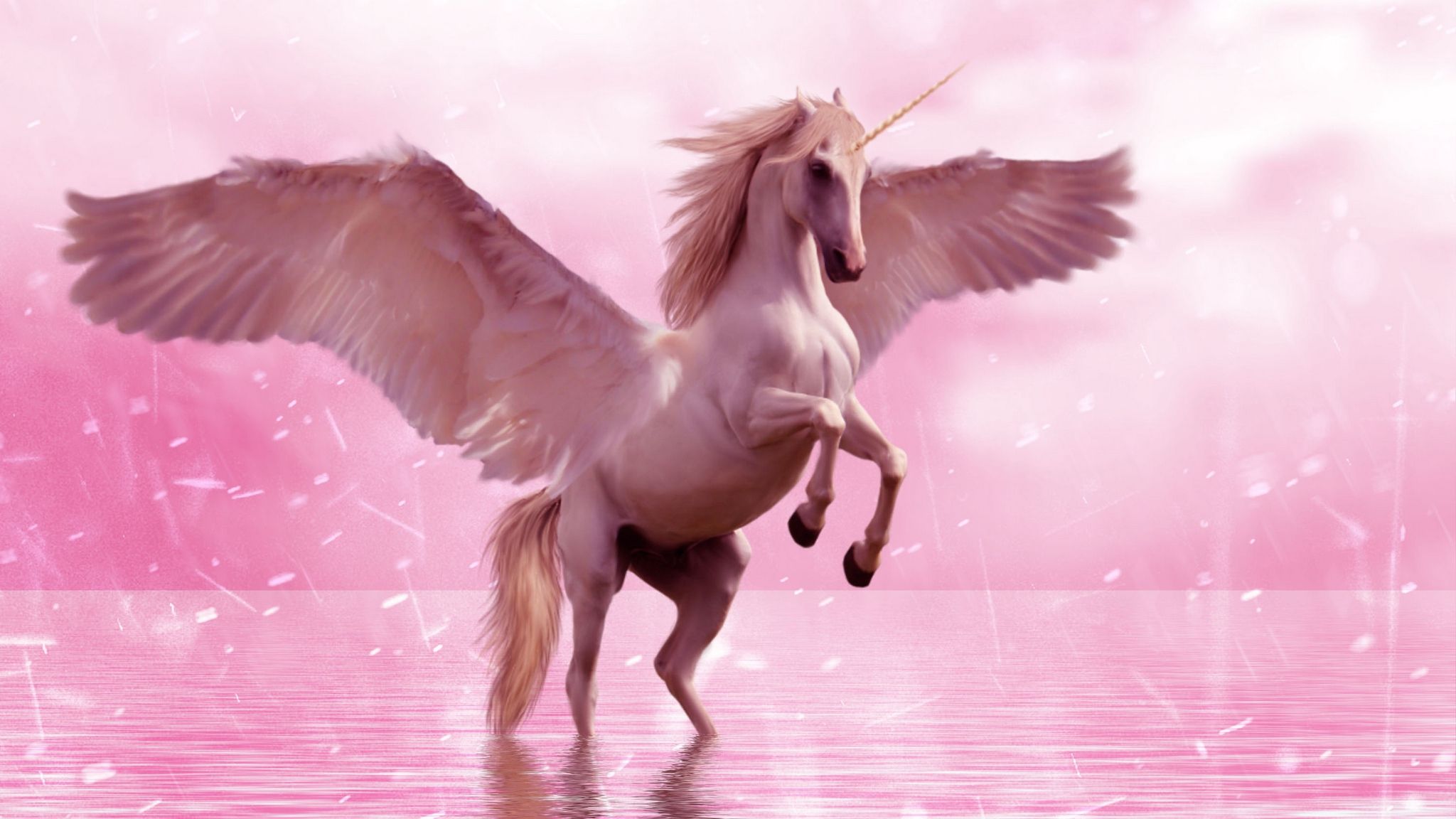 Beautiful Real Unicorn Wallpapers