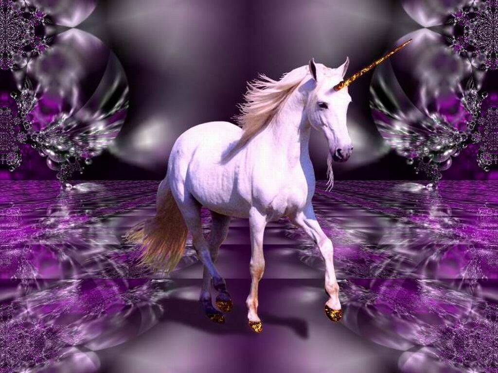 Beautiful Real Unicorn Wallpapers