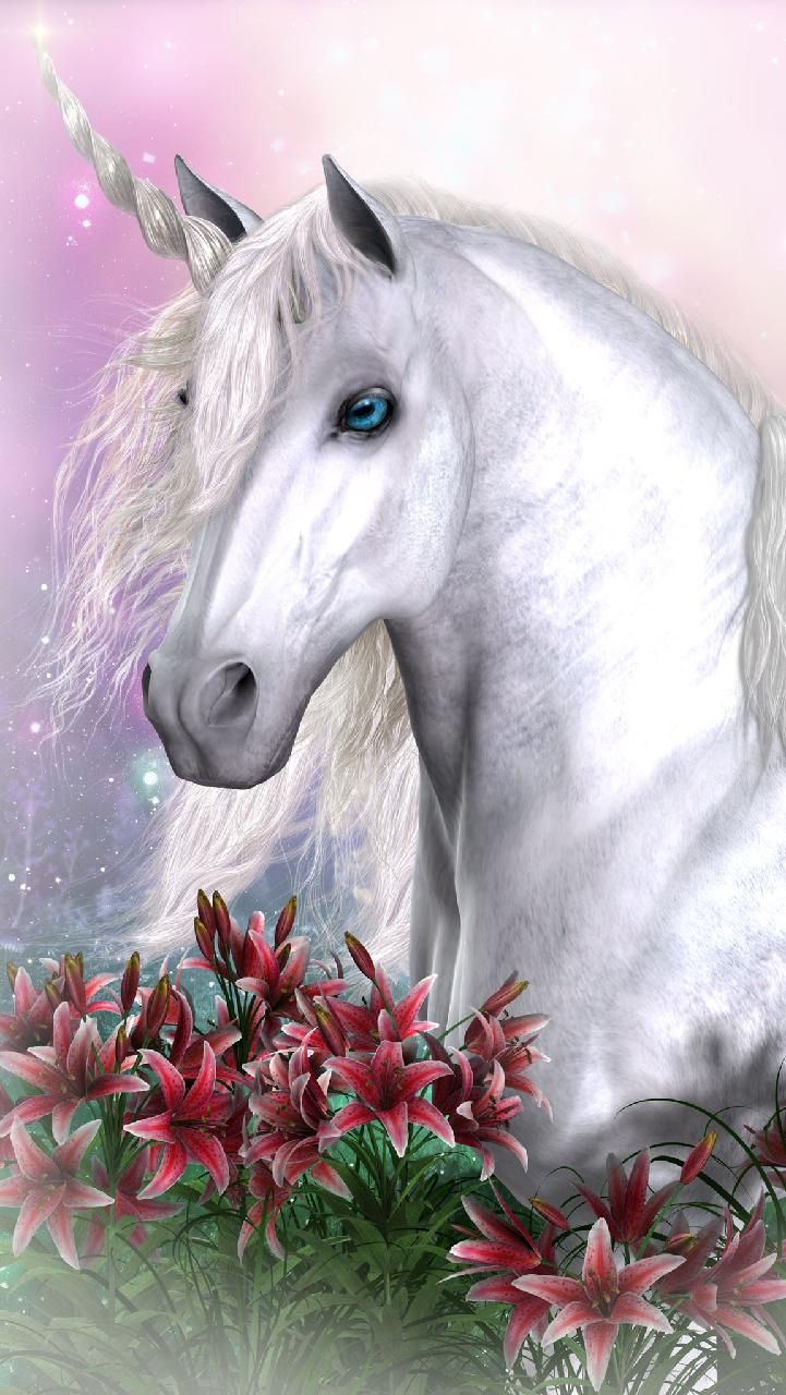 Beautiful Real Unicorn Wallpapers