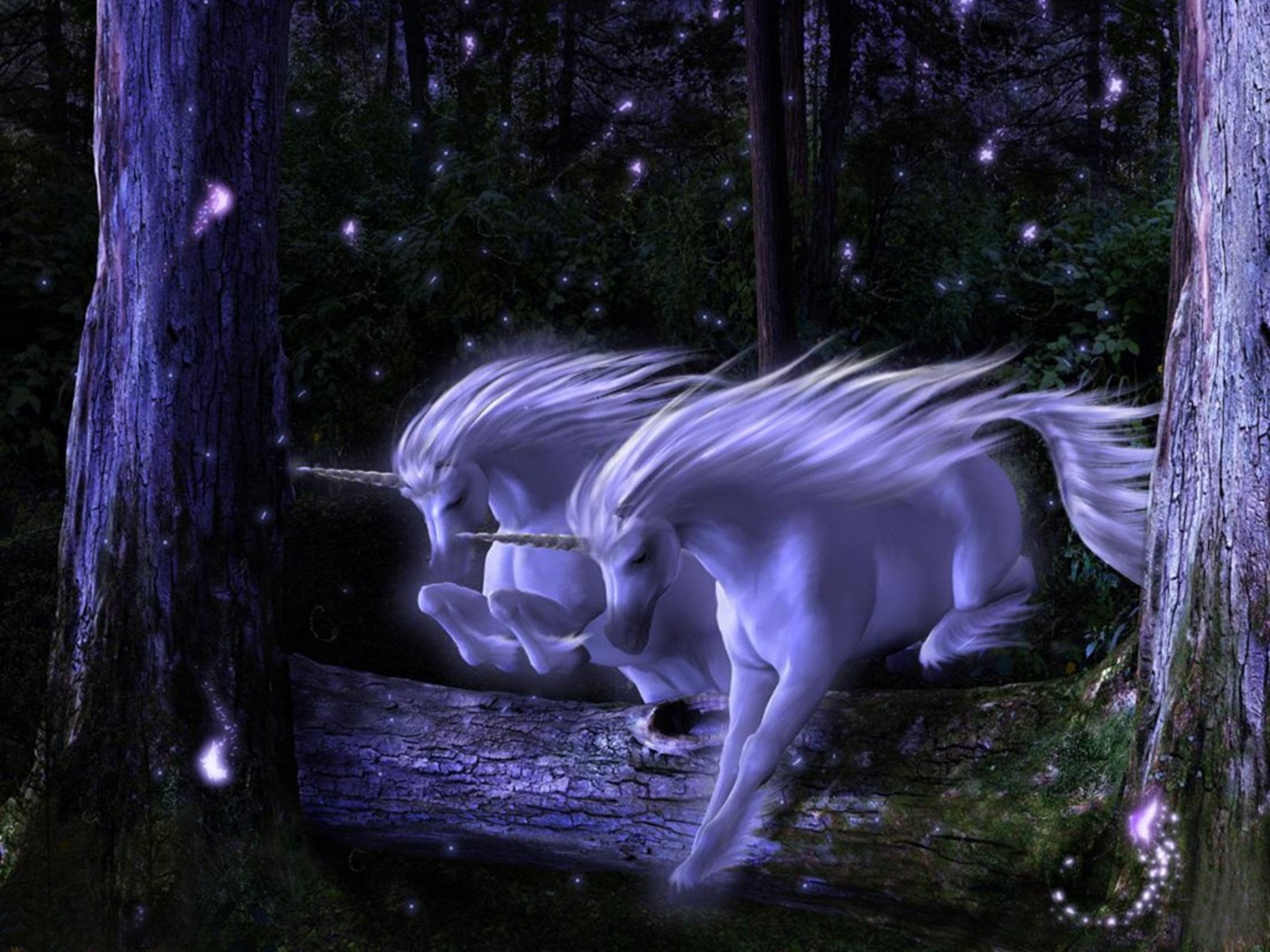 Beautiful Real Unicorn Wallpapers