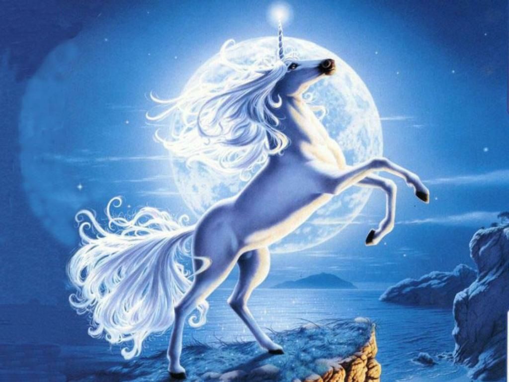 Beautiful Real Unicorn Wallpapers