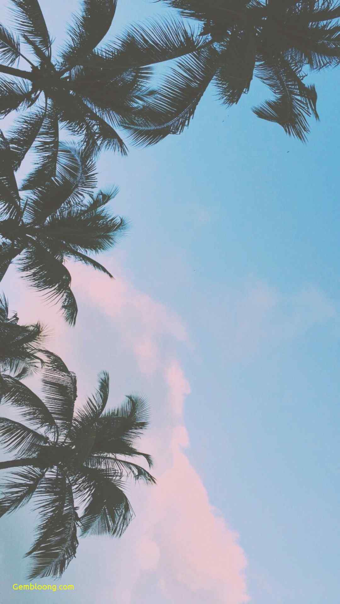 Beautiful For Phone Wallpapers