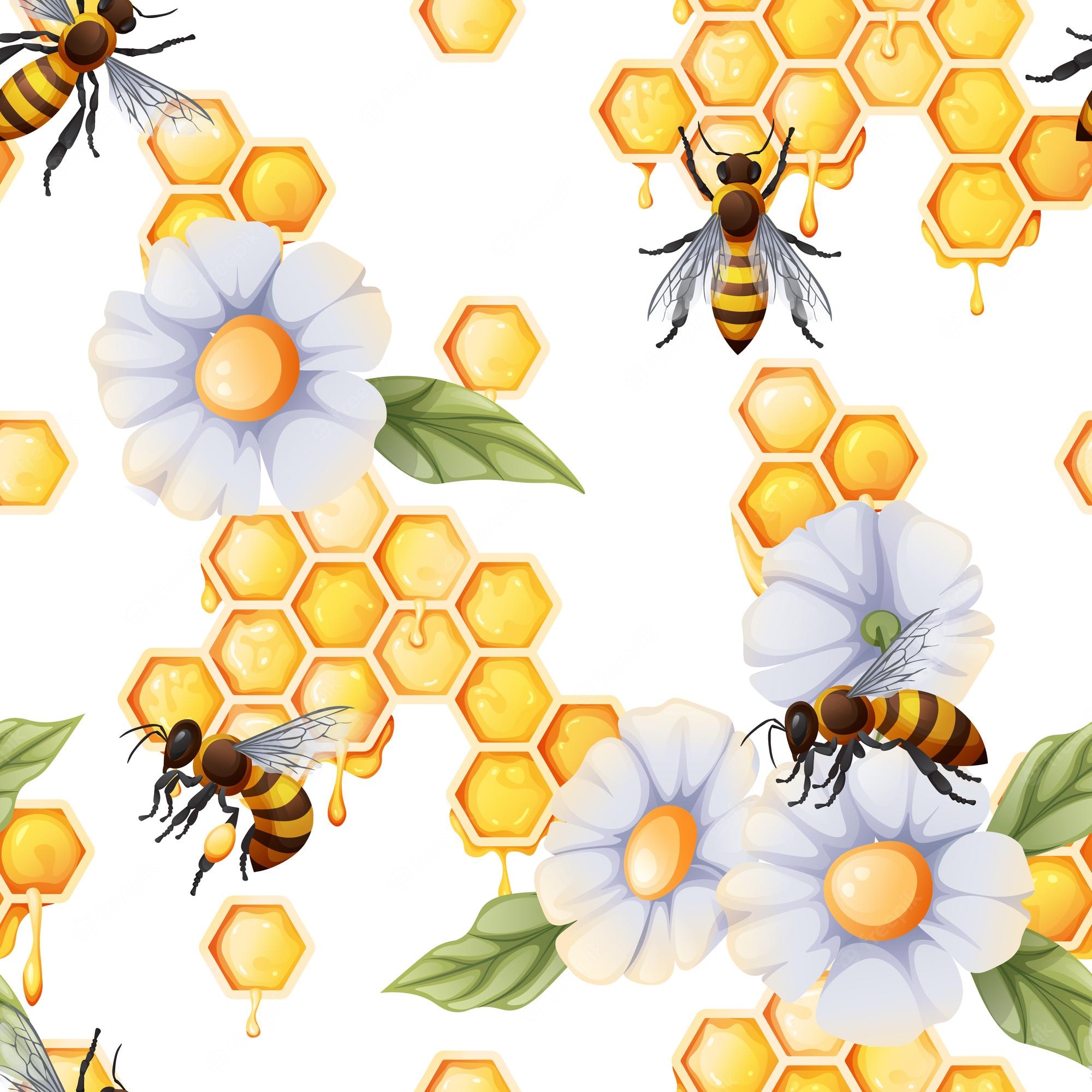 Bee And Flower Wallpapers