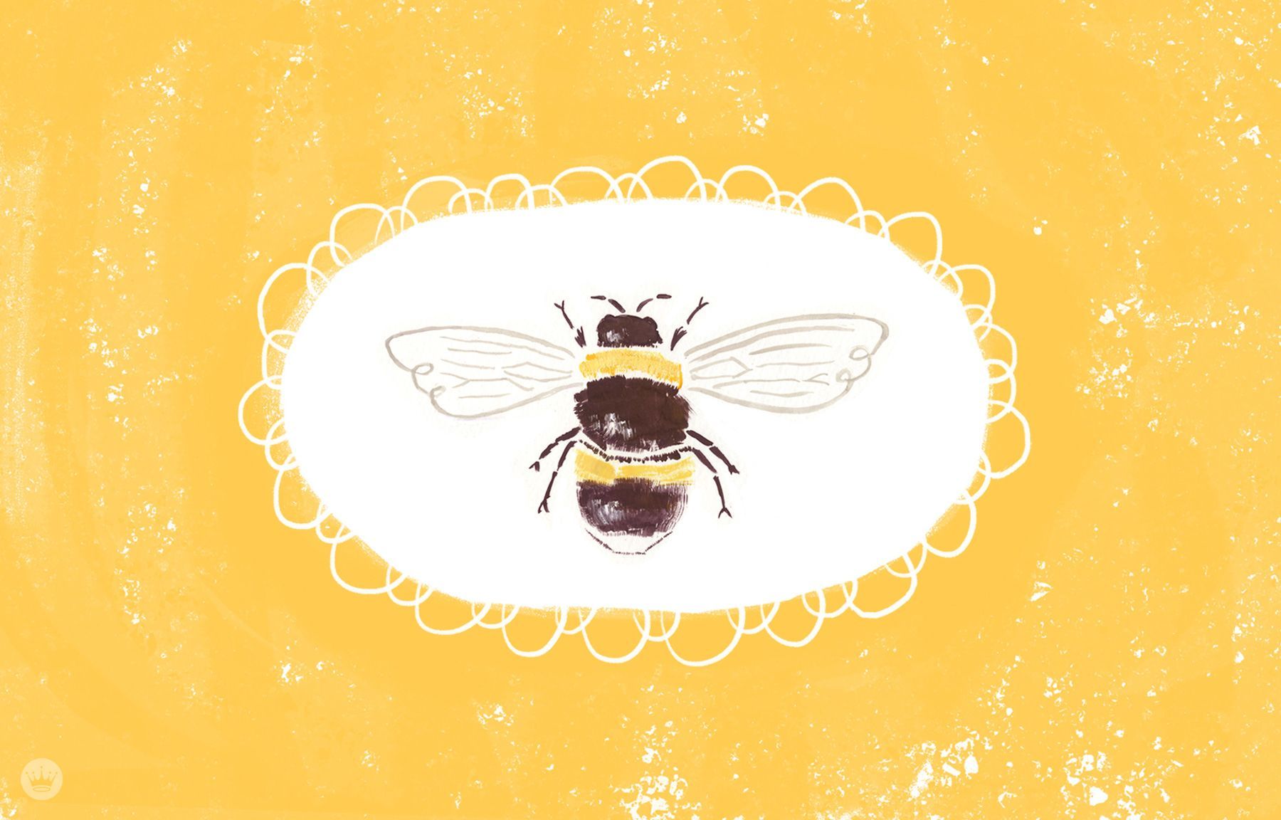 Bee Desktop Wallpapers