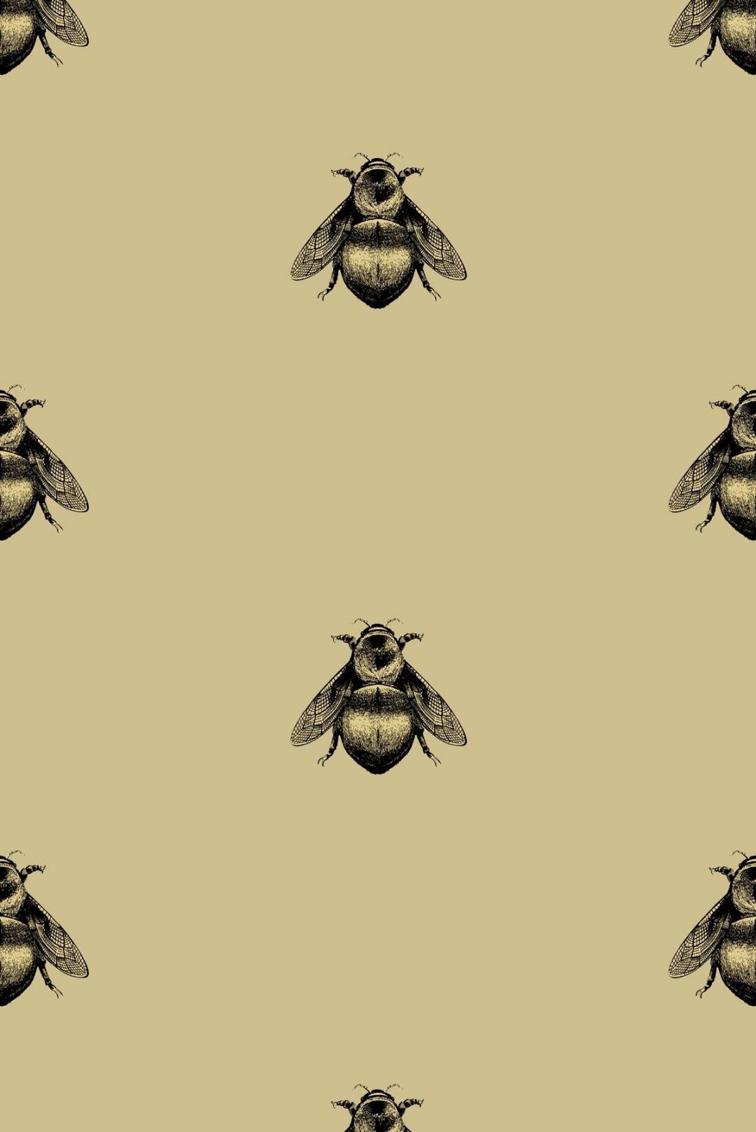 Bee Iphone Wallpapers