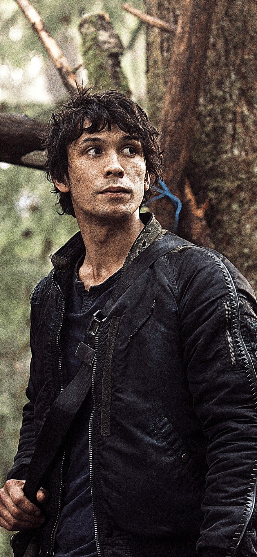 Bellamy Blake Wallpapers