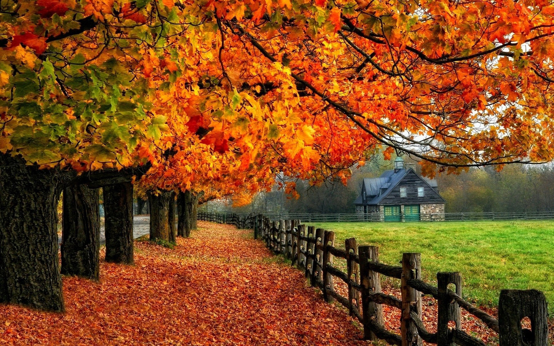 Best Autumn Wallpapers