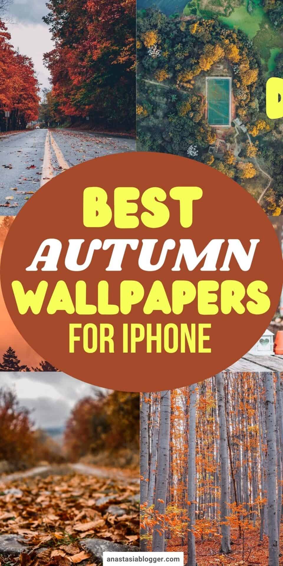 Best Autumn Wallpapers