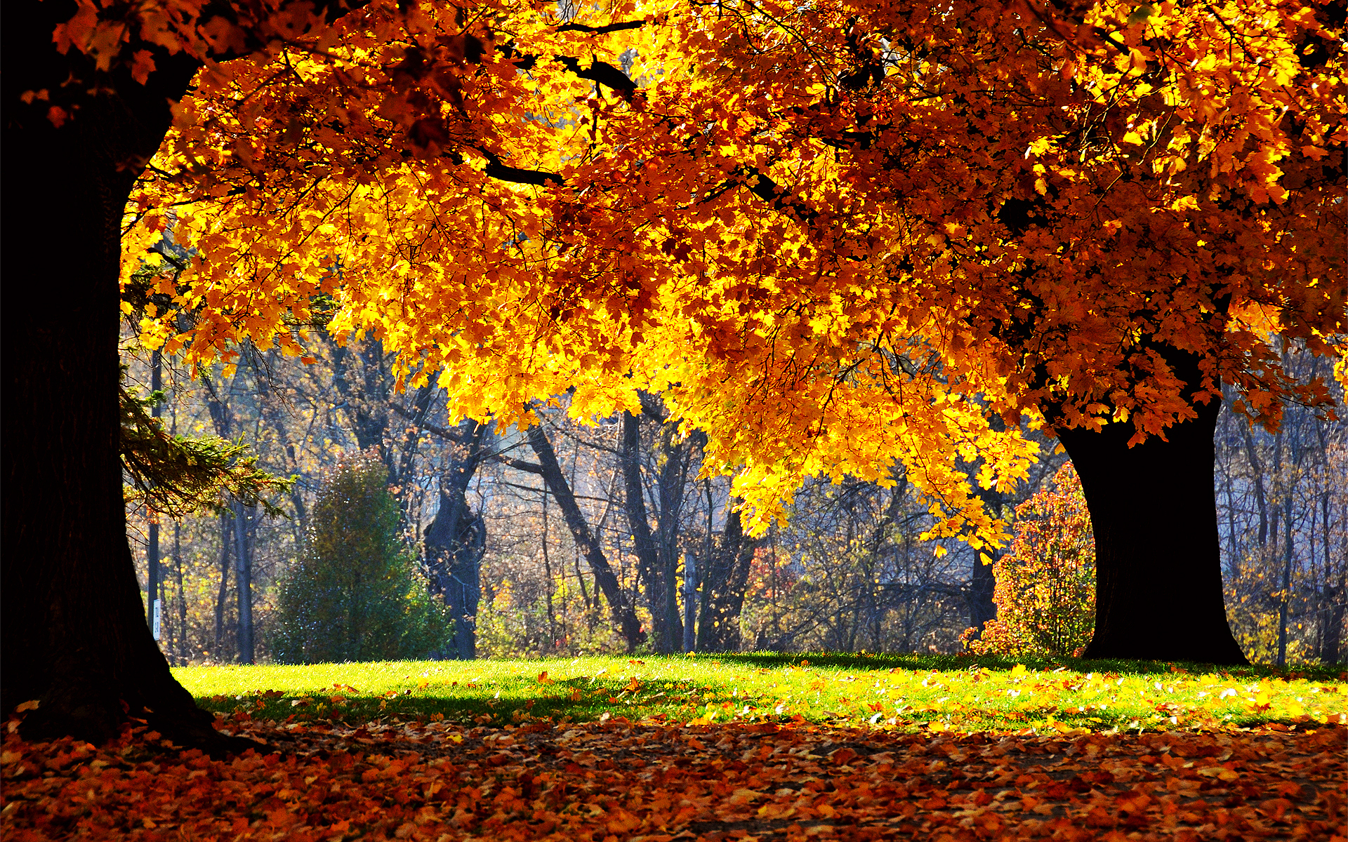 Best Autumn Wallpapers