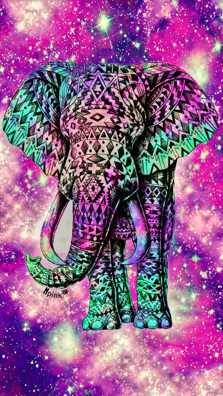 Best Elephant Wallpapers