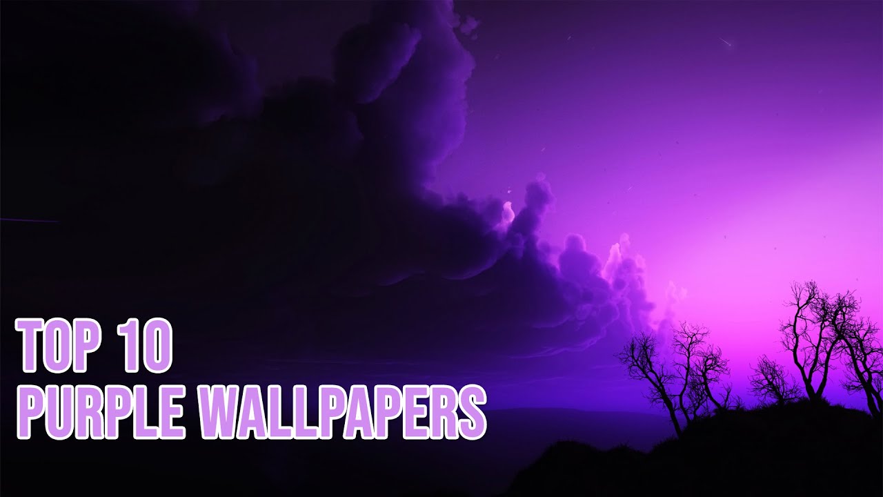 Best Purple Wallpapers