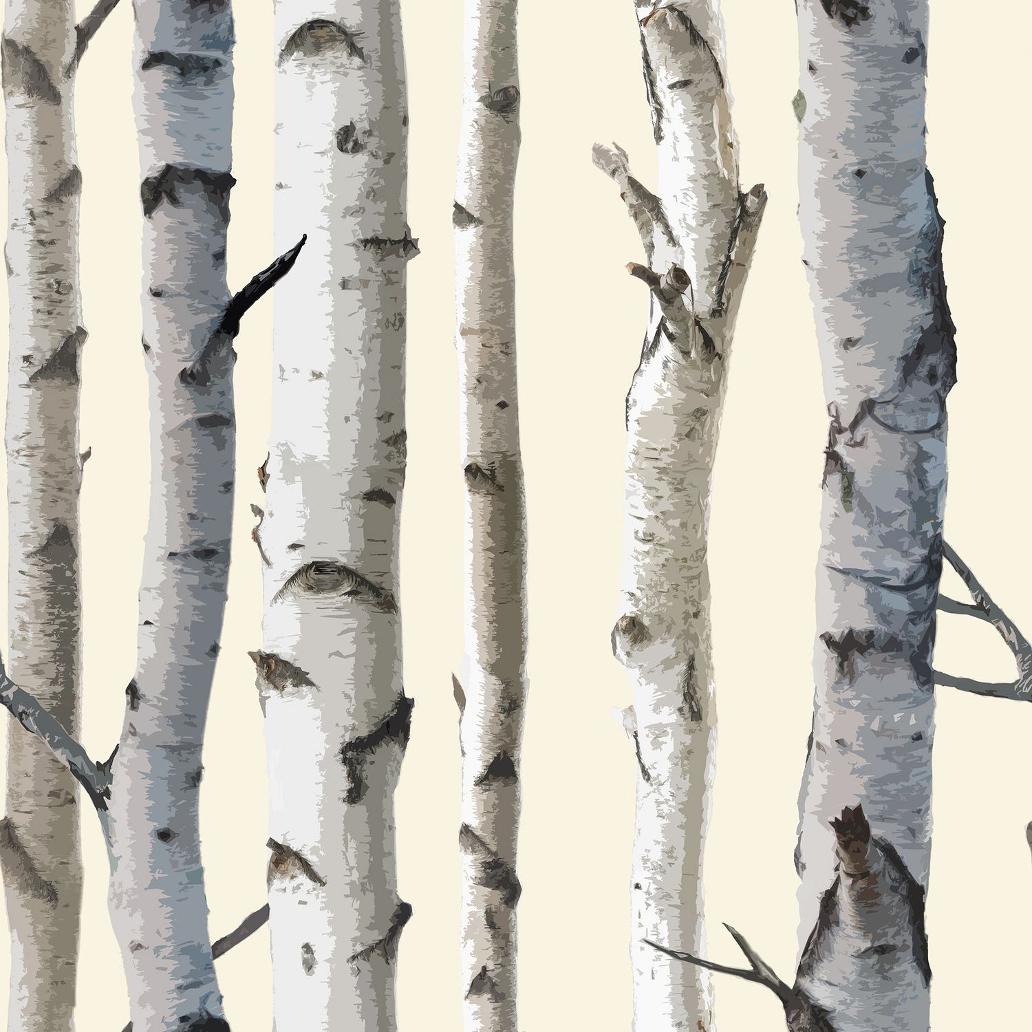 Birch Tree Wallpapers