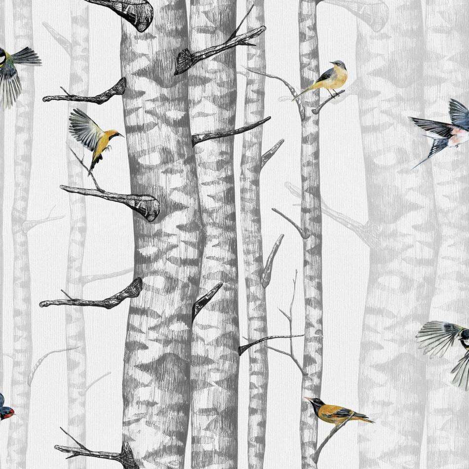 Birch Tree Wallpapers